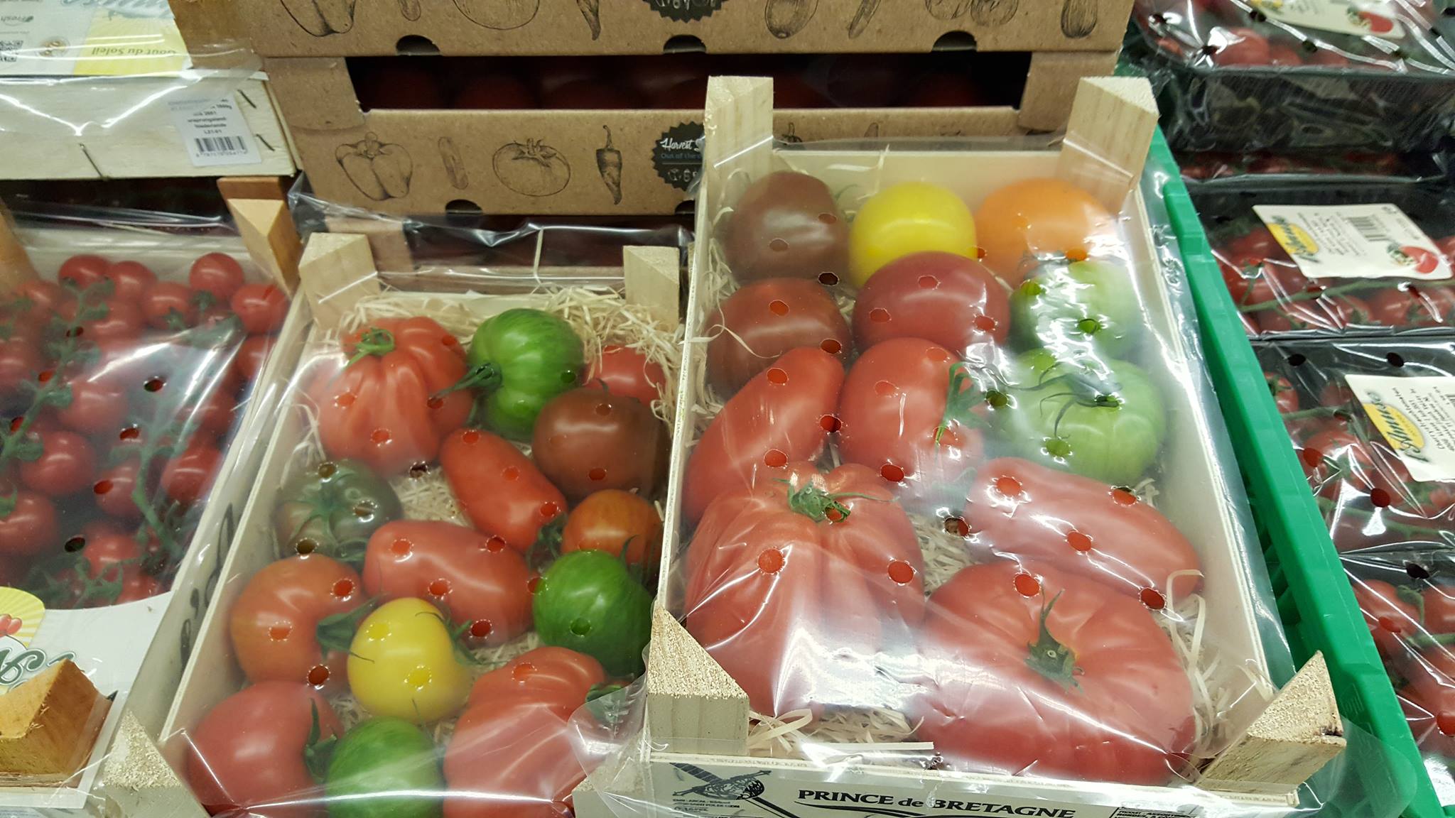 20160527 Alte Tomatensorten