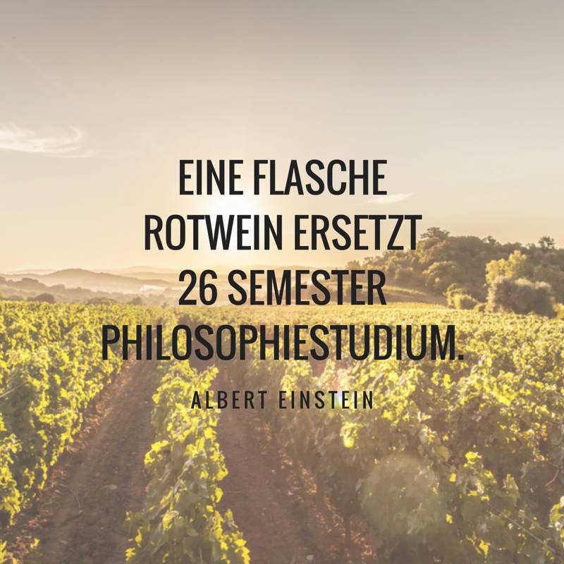 20160628 Eine Flasche Rotwein ersetzt 20 Semester Philosophiestudium