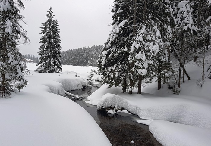 Arber, Arbersee, Bayrischer Wald, Winter