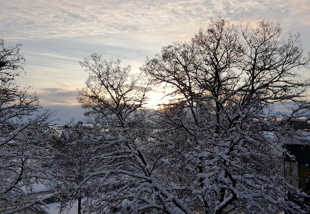 Winter Wonder Land vor dem Bürofenster …