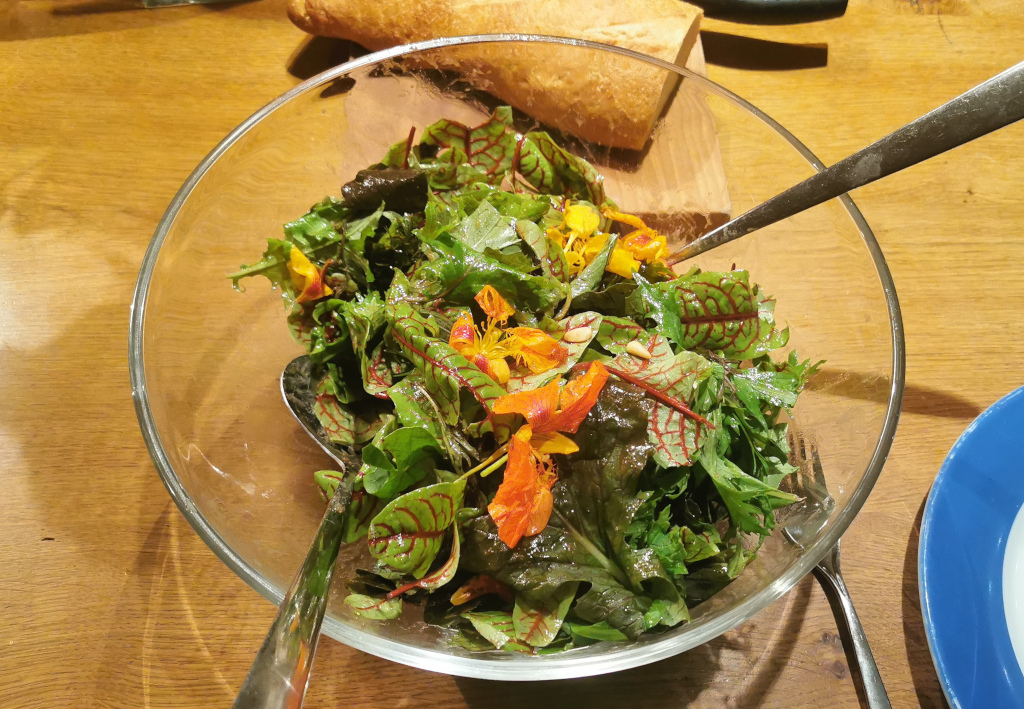 Wildkräutersalat