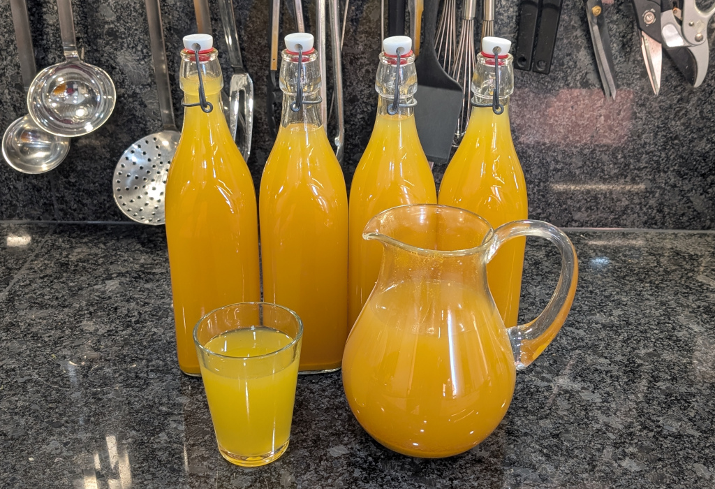 Ingwer-Zitronen-Honig-Trunk