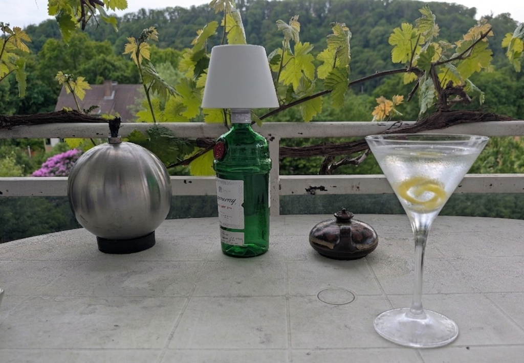 Der Wein treibt aus, der Rhododendron blüht